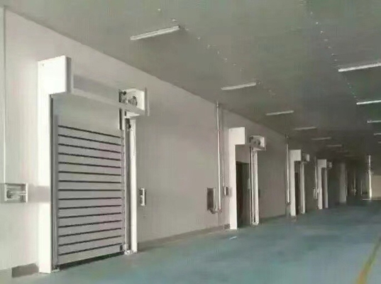 Porta de garagem de segurança em espiral com espessura de 40 mm